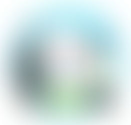 ミズタのレシピ!