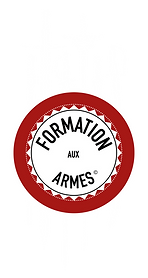 logo FORMATION aux ARMES