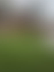 The Do’s and Don’ts of Lawn Care Near Me in Harbeson and Rehoboth, DE