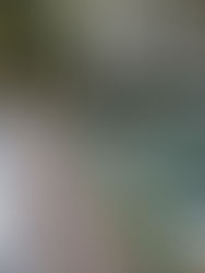 How Proper Drainage Is Critical to Keeping a Selbyville and Ocean View, DE, Landscape Beautiful