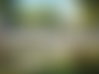 주소모음 사이트를 사용할 때 사람들이 가장 많이 실수하는 선택 방식