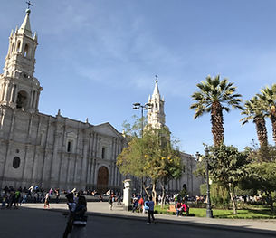 IMG_1680.jpeg