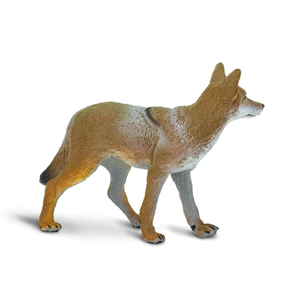 Прев'ю: Койот Safari LTD 227229