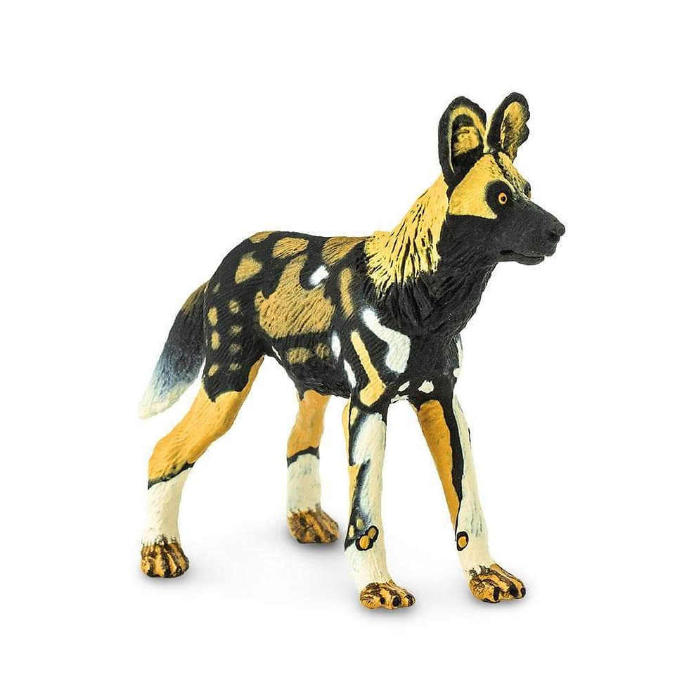 Прев'ю: Гієновий собака (дикий африканський собака) Safari LTD 239729
