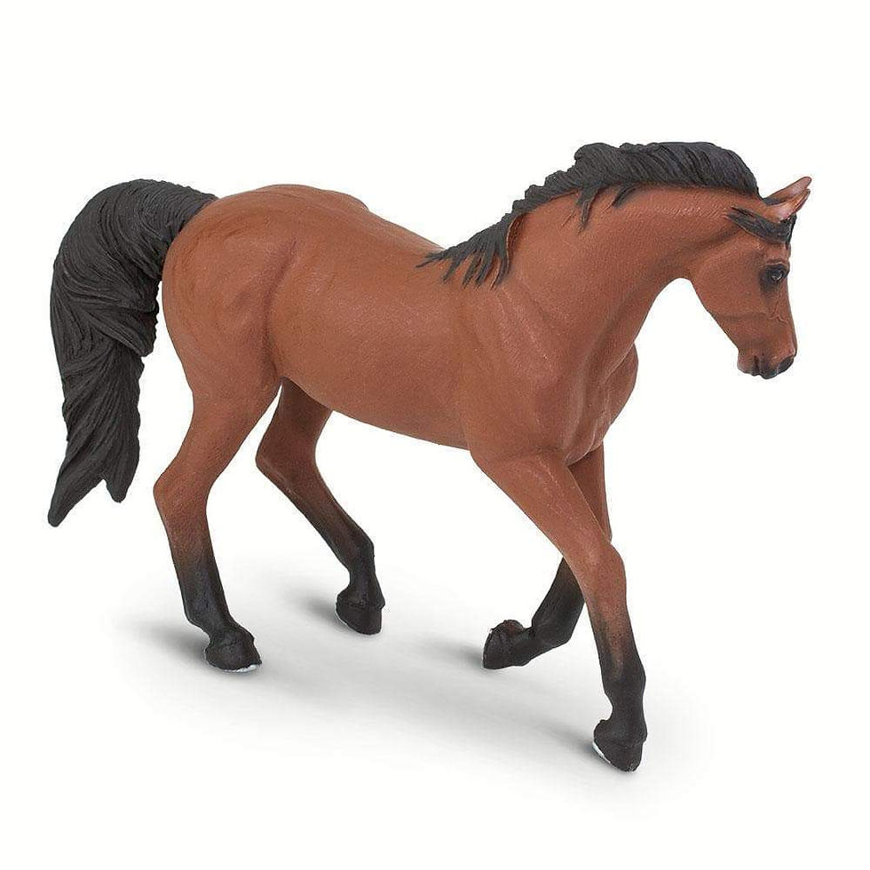 Прев'ю: Морган кобила Safari LTD 158605