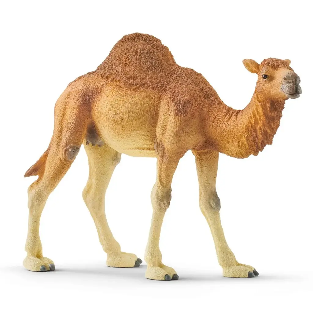Верблюд дромедар (одногорбий) Schleich 14832