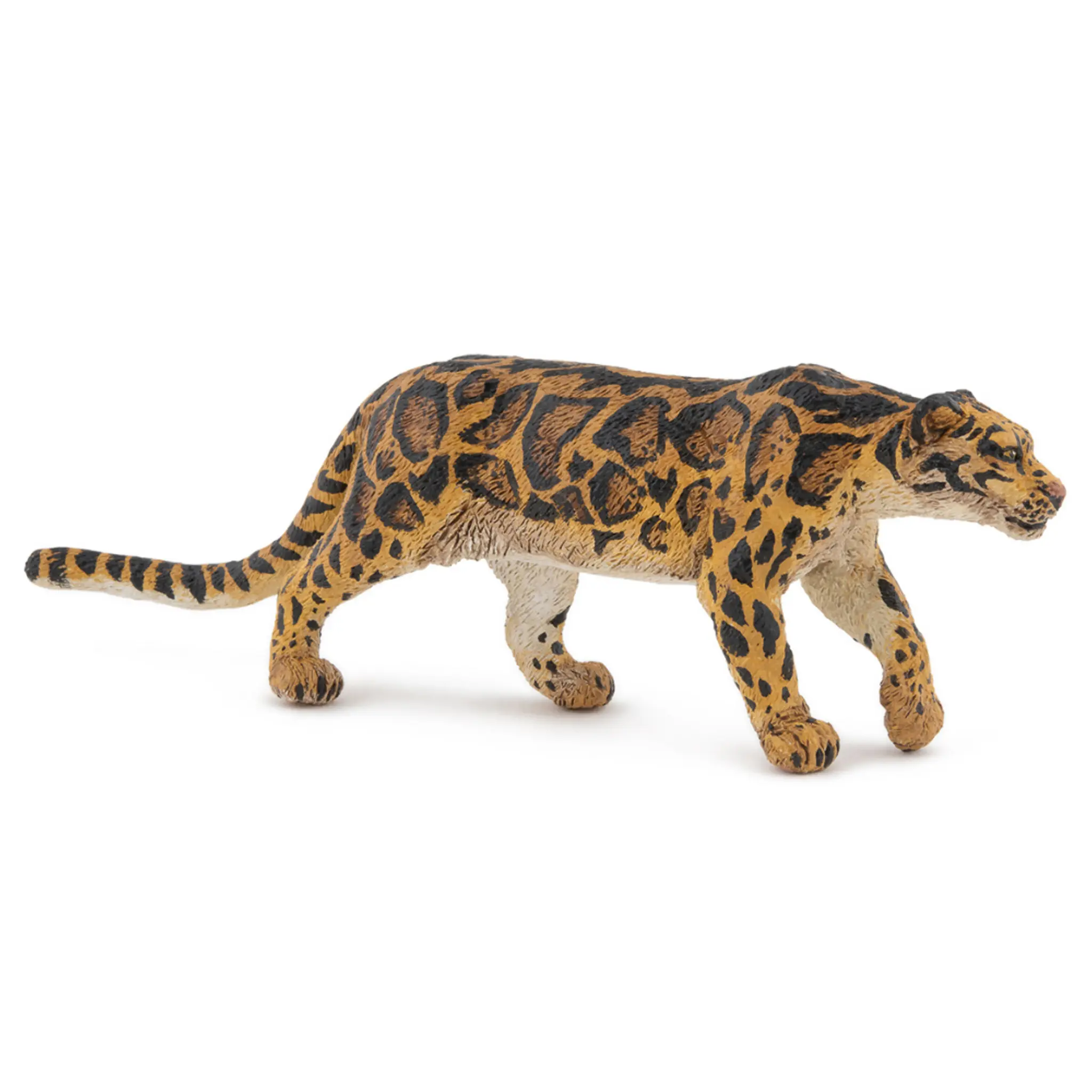 Димчастий леопард (димчаста пантера) PAPO 50316