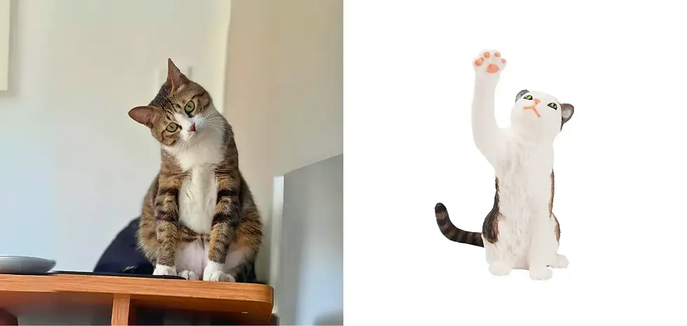 Прев'ю: Біло-смугаста кішка/кіт Toymany