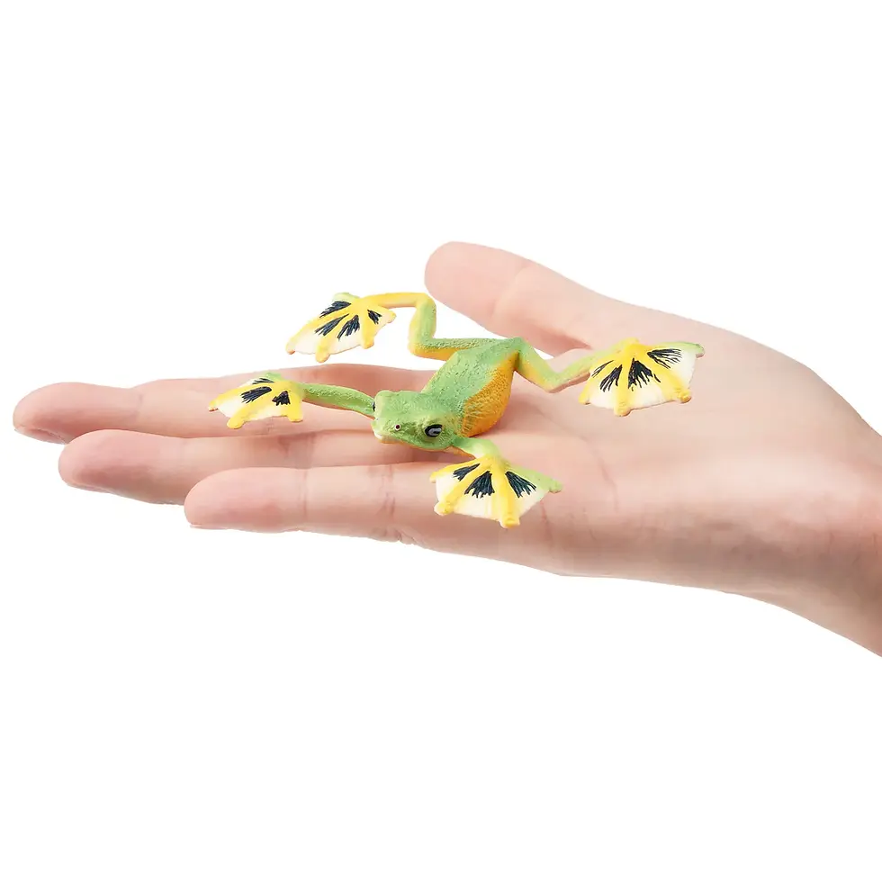 Прев'ю: Летюча жаба чорнолапа Toymany