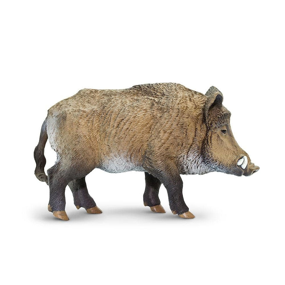 Прев'ю: Кабан Safari LTD 224229
