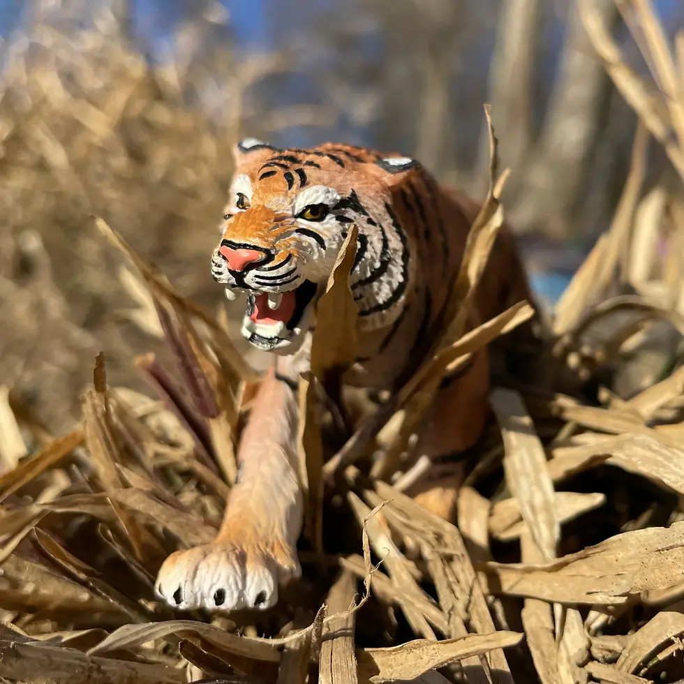 Прев'ю: Бенгальський тигр Safari LTD 270829