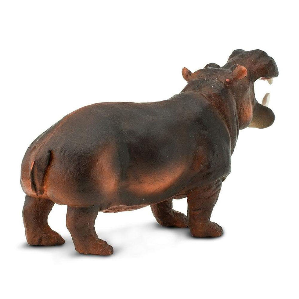 Прев'ю: Бегемот Safari LTD 229029