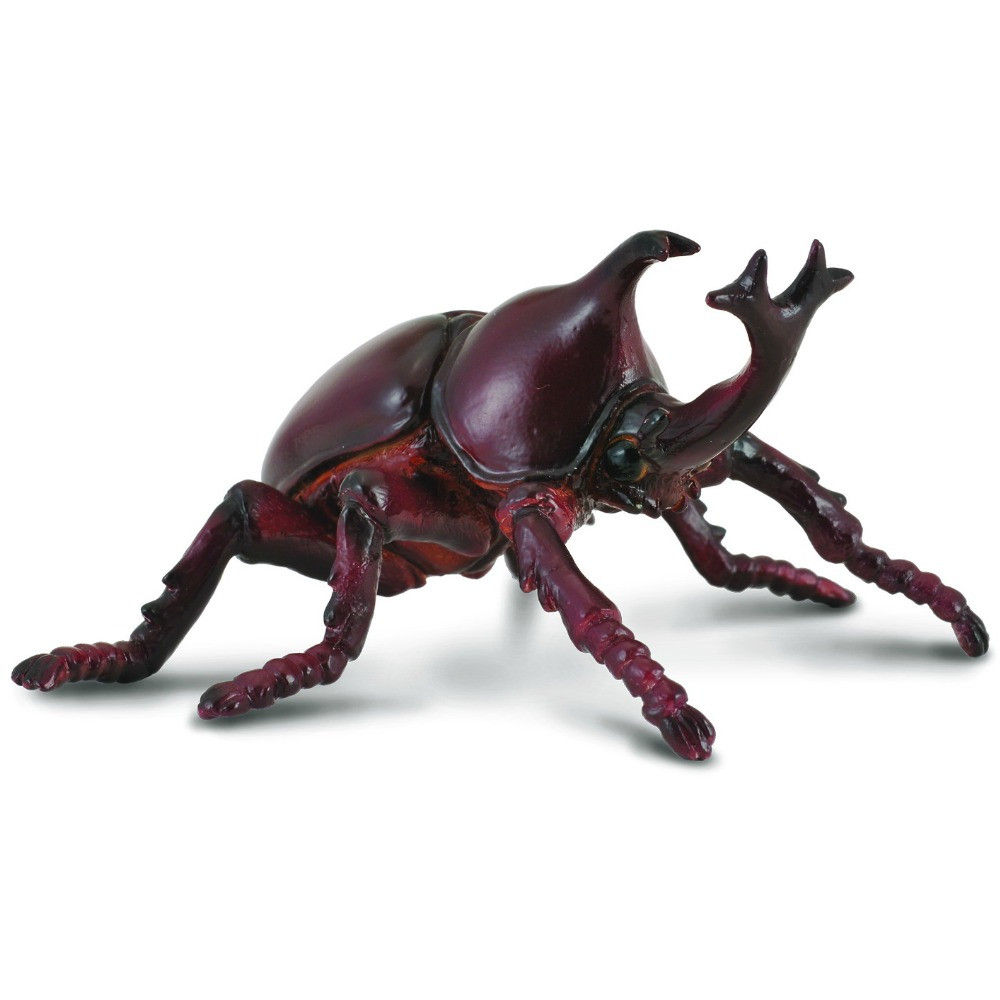 Жук-носоріг CollectA 88337