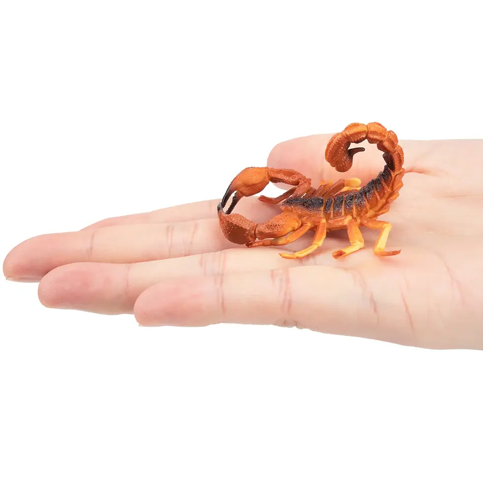 Прев'ю: Скорпіон червоний індійський Toymany