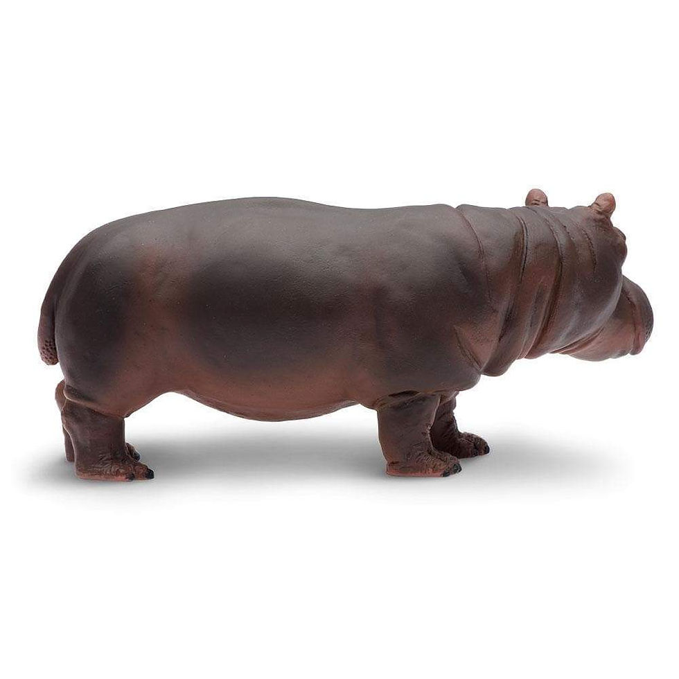 Прев'ю: Бегемот Safari LTD 270429