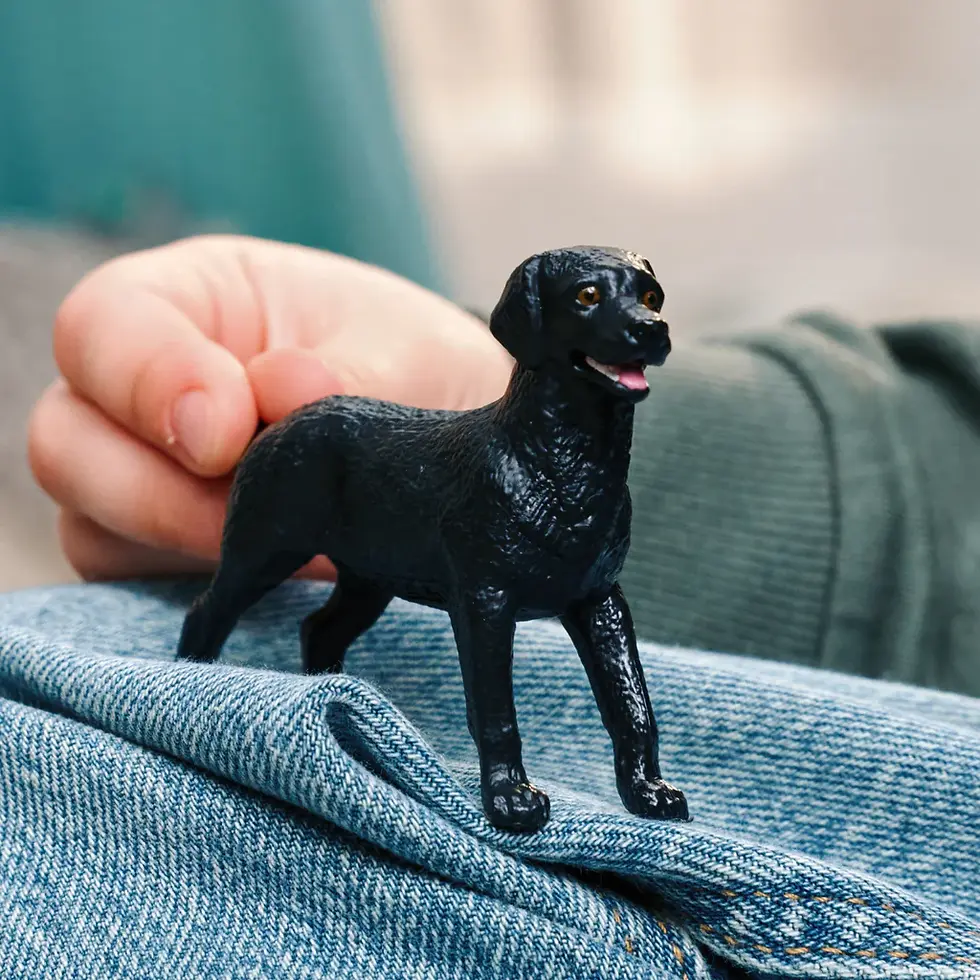Прев'ю: Лабрадор собака Schleich 14923