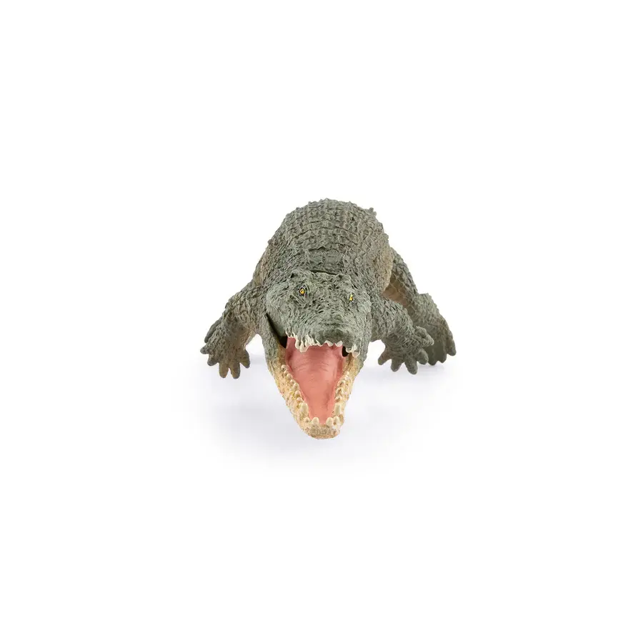 Прев'ю: Морський крокодил (гребенястий) PAPO 50324