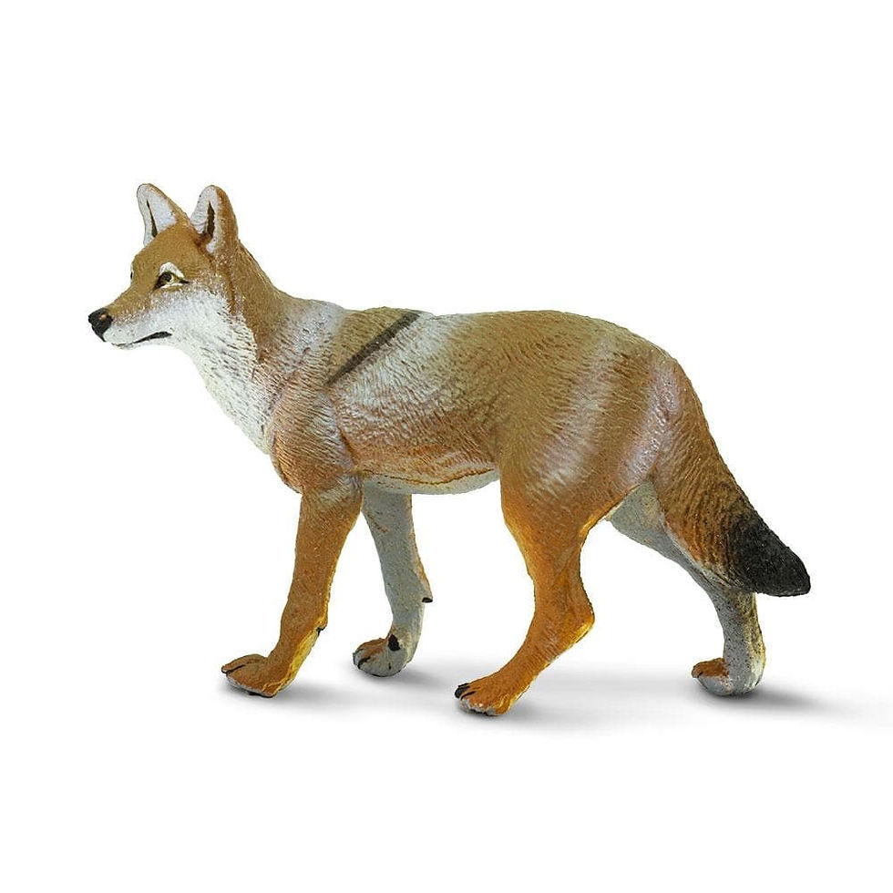 Прев'ю: Койот Safari LTD 227229