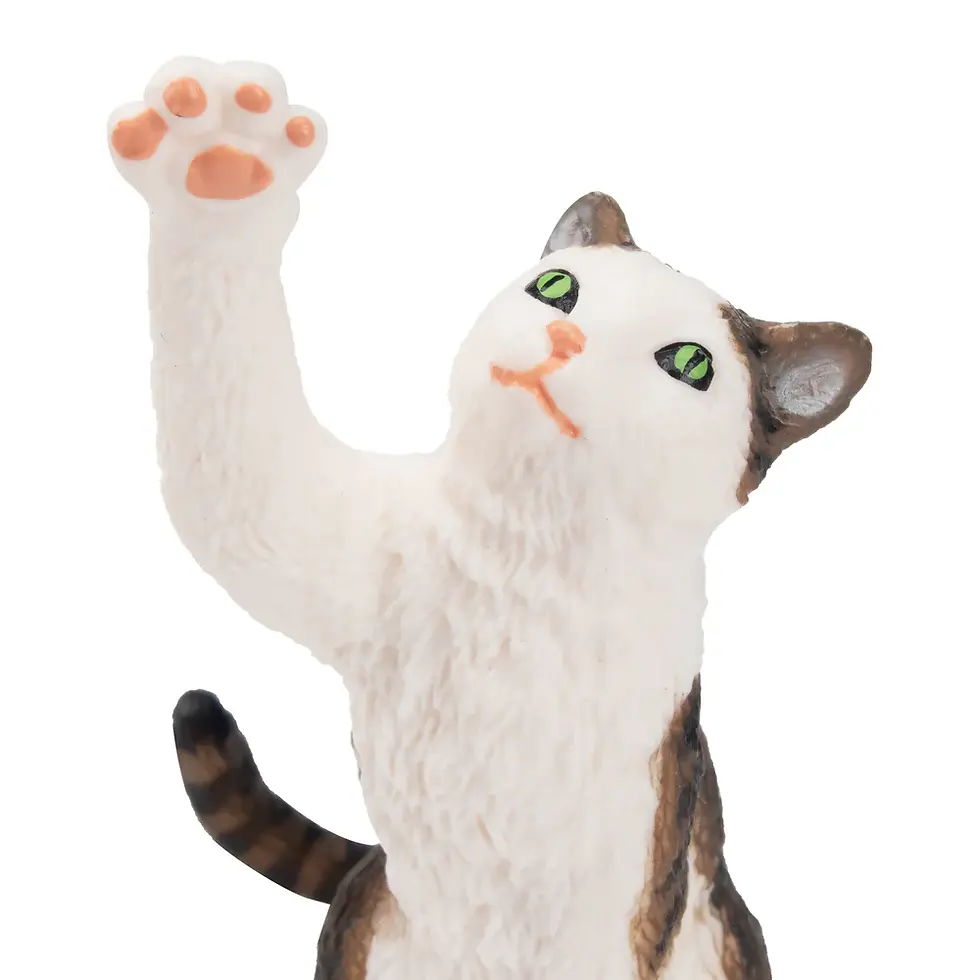 Прев'ю: Біло-смугаста кішка/кіт Toymany