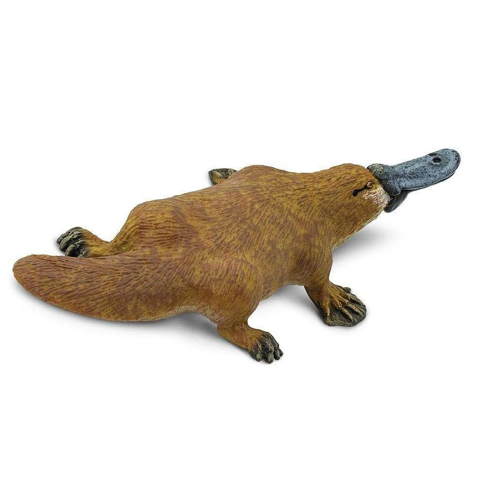 Прев'ю: Качкодзьоб Safari LTD 283529