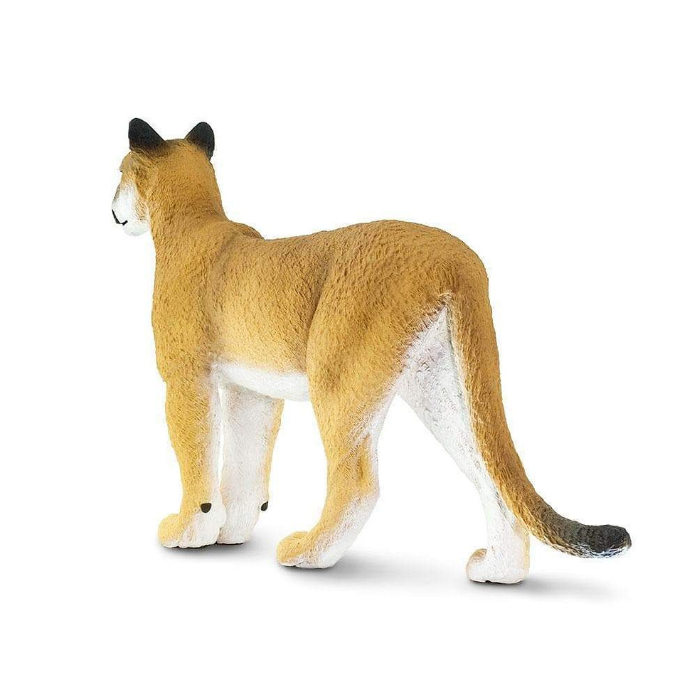 Прев'ю: Флоридська пума XL Safari LTD 100105