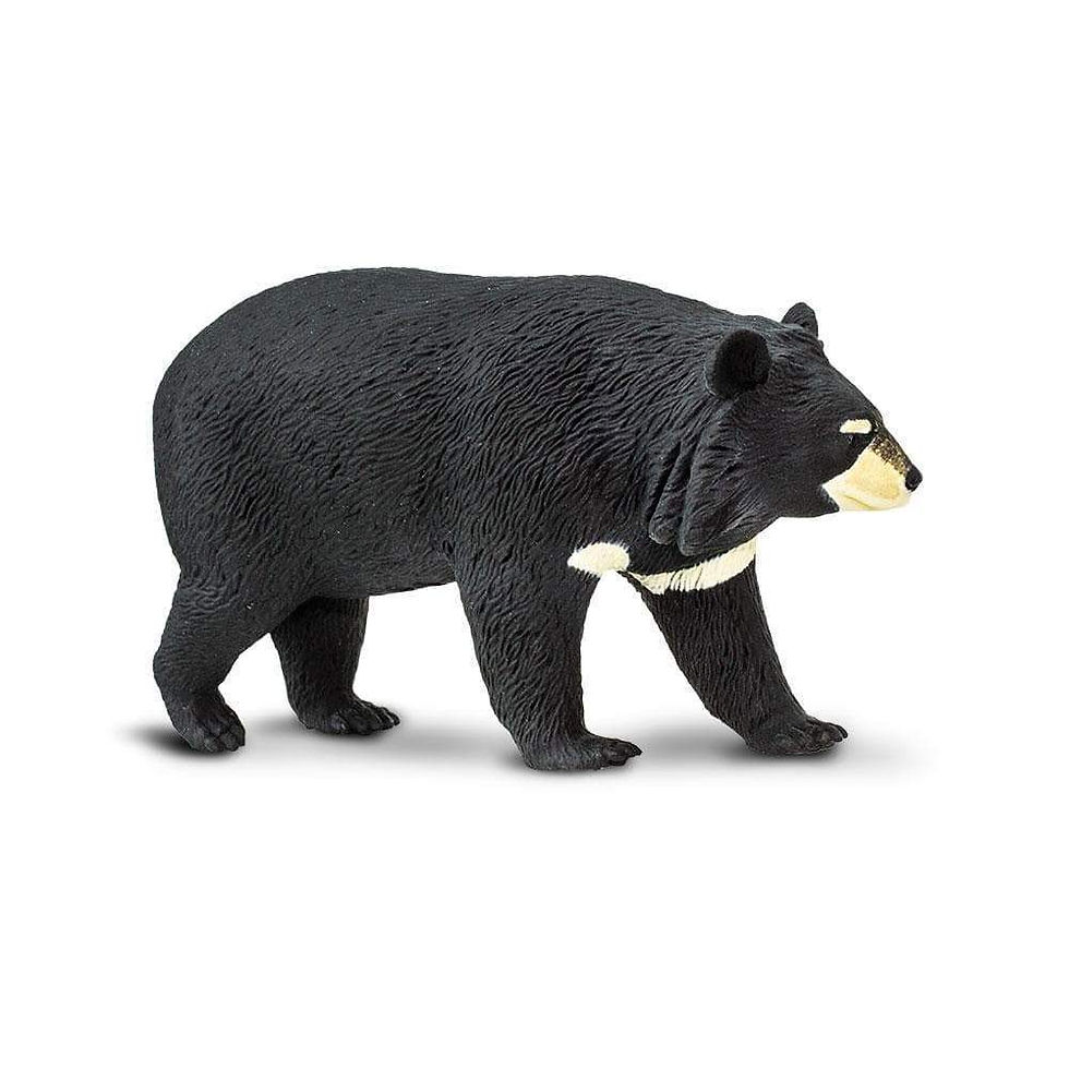 Прев'ю: Ведмідь гімалайський Safari LTD 100044