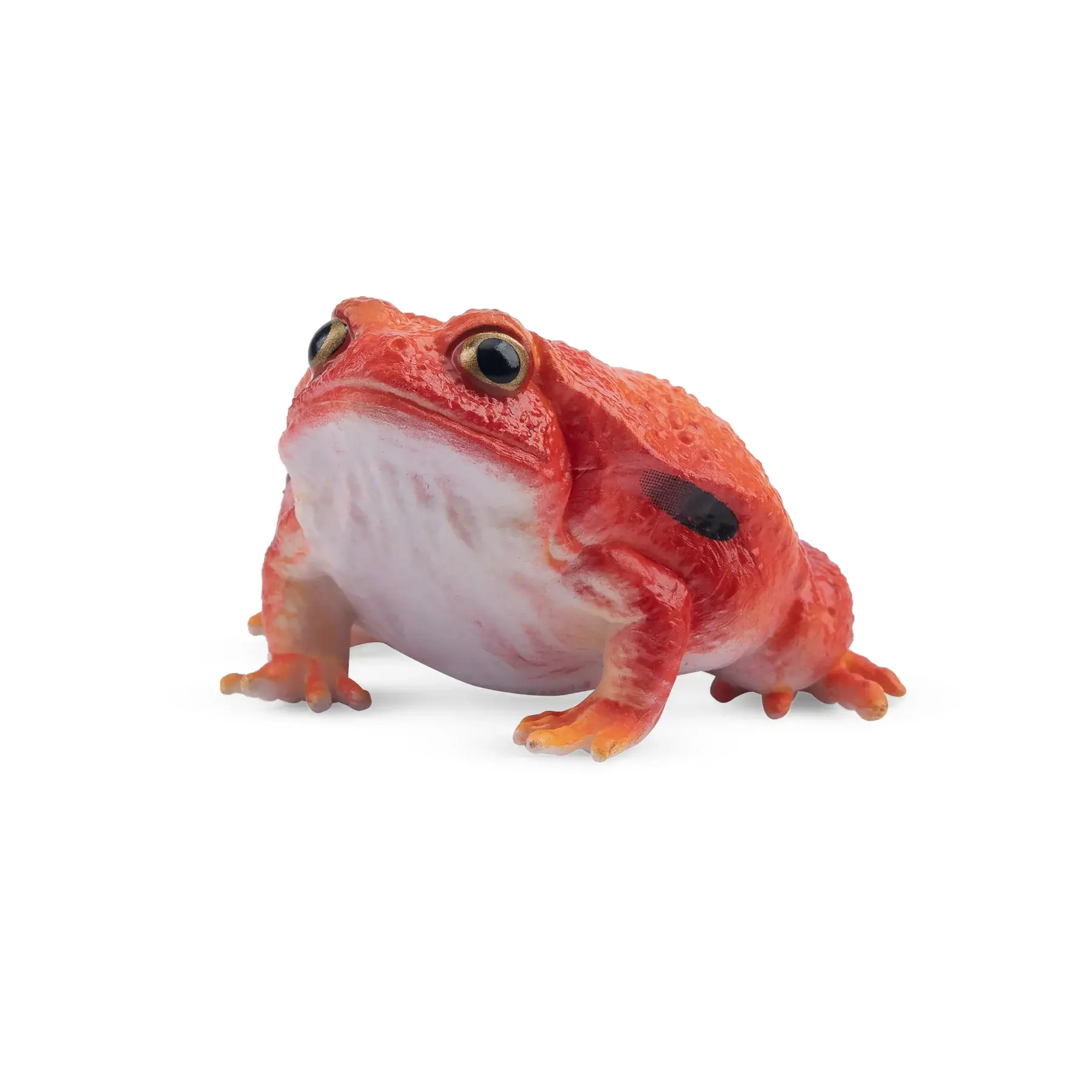Жаба-помідор Toymany