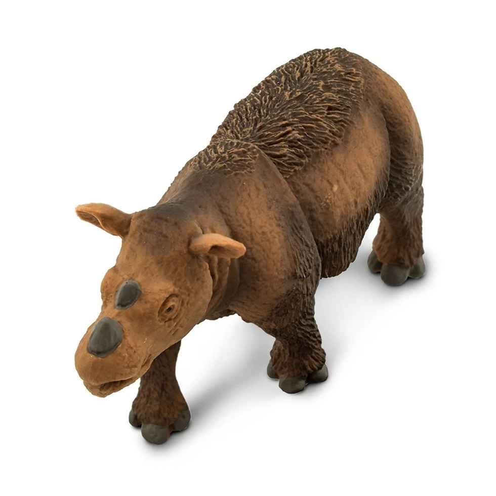Прев'ю: Суматранський носоріг Safari LTD 100103