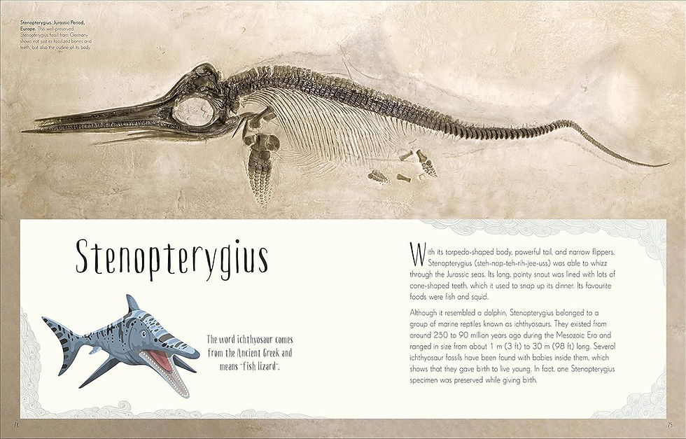 Прев'ю: Книга Dinosaurs and Other Prehistoric Life