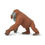Прев'ю: Орангутан самець Safari LTD 292929