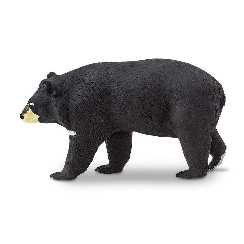 Прев'ю: Ведмідь гімалайський Safari LTD 100044