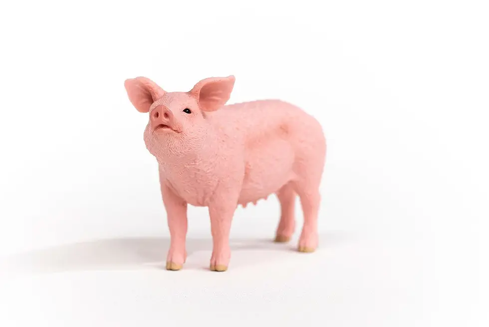 Прев'ю: Свиня Schleich 13933