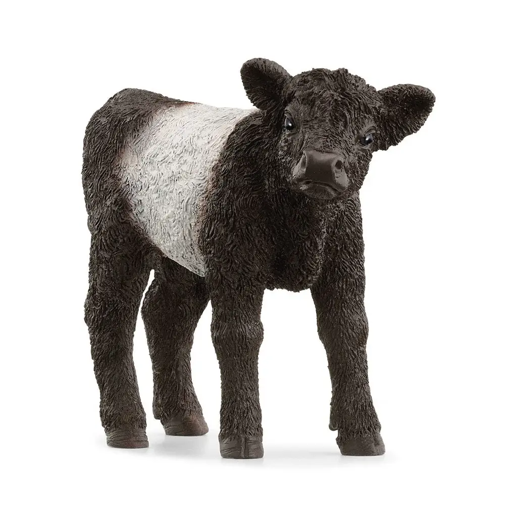 Галловейське теля Schleich 13969