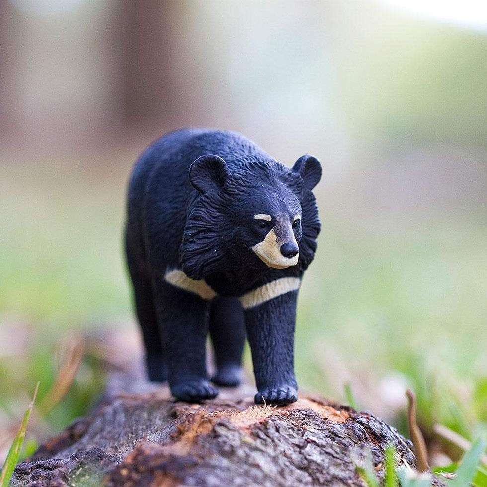 Прев'ю: Ведмідь гімалайський Safari LTD 100044