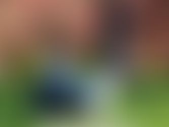 Le Manuel du pratiquant d'Aïkido 2025