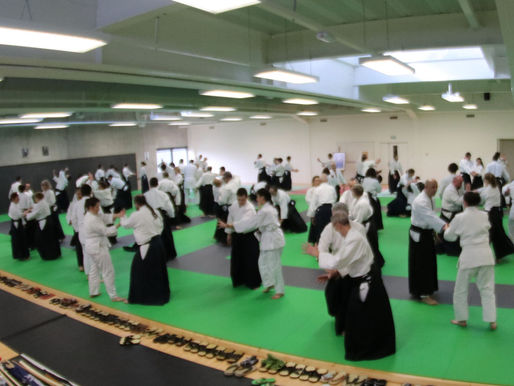 Journées portes ouvertes de l'aikido à Meyzieu
