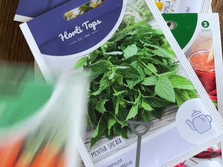 🌱 Waarom een moestuin? In Zweden