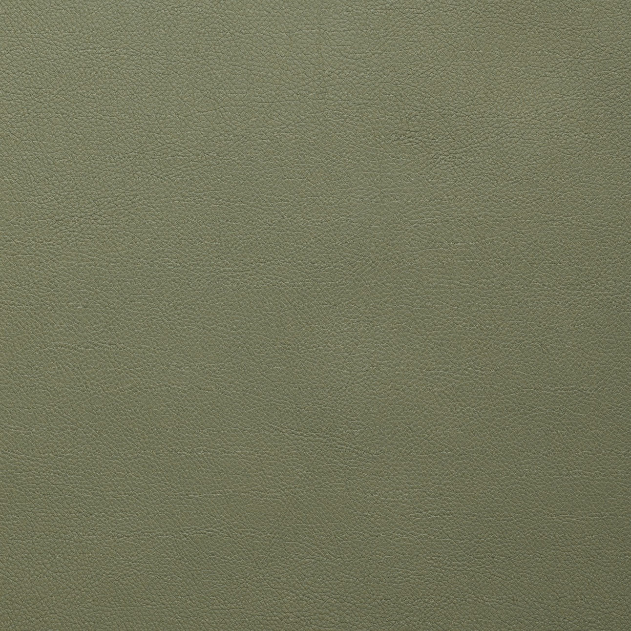 STAGE-MOSS (94274-26)