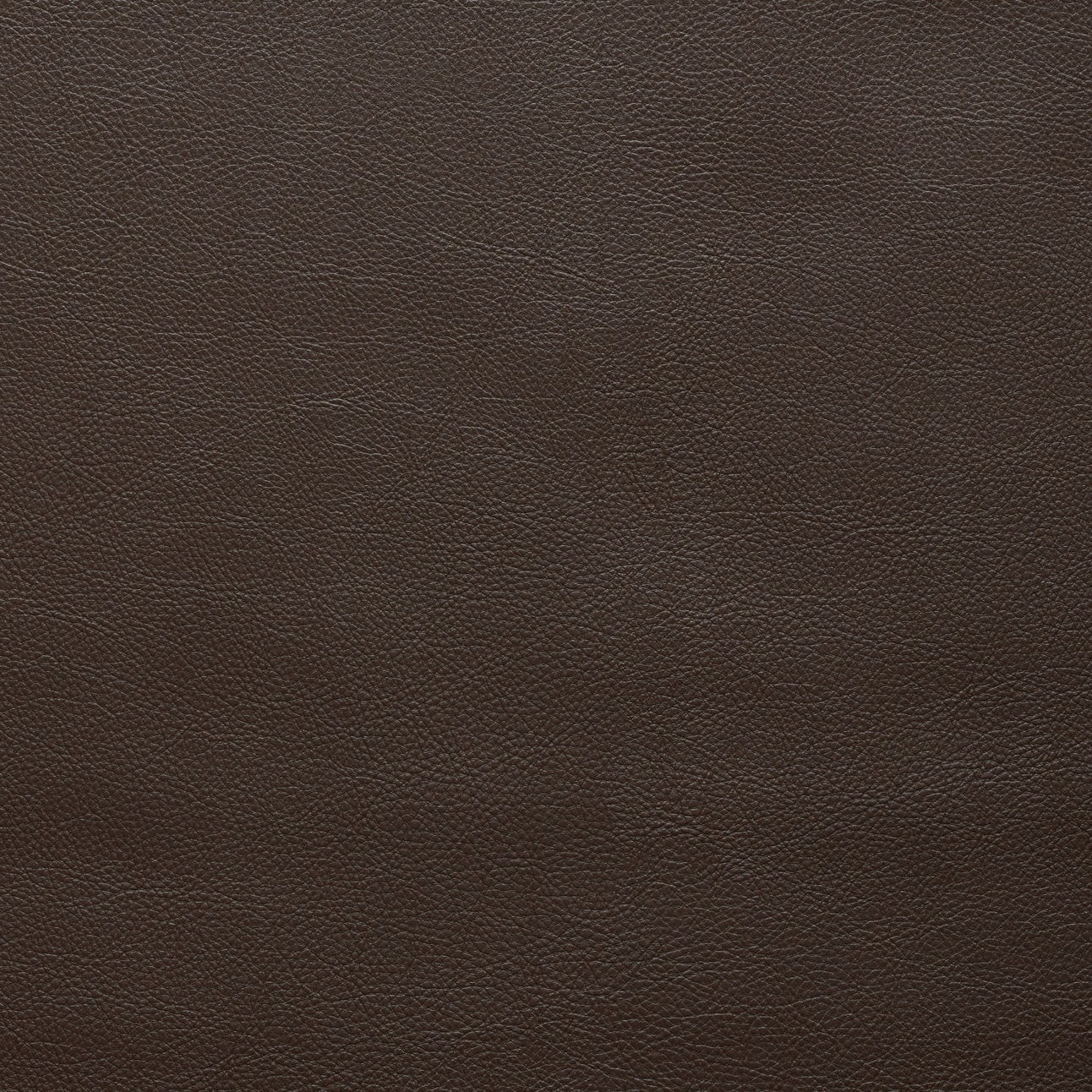 STAGE-BISTER (94274-13)