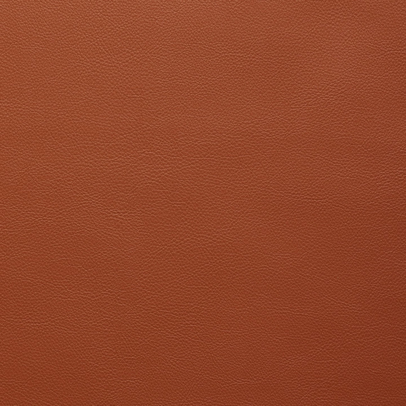 STAGE-RUST (94274-48)