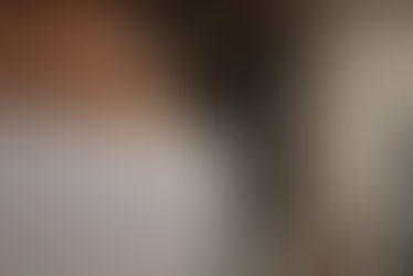 NEW LiftMaster Heavy Duty Residential Wall Mount Garage Door Opener