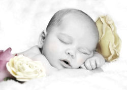 Baby Photography | Lynnfield, MA