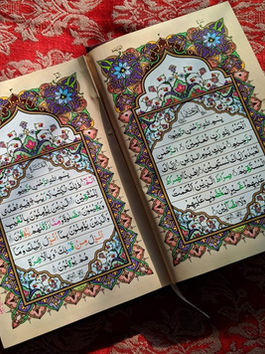 The Fallibility of the Quran