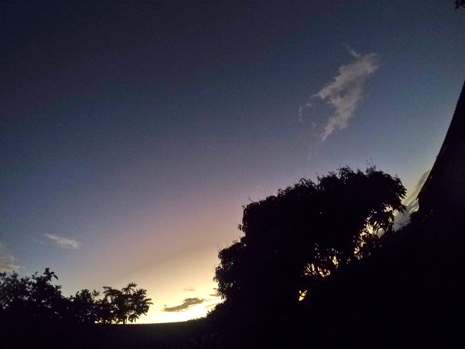 Blog〽️as, LIFE...