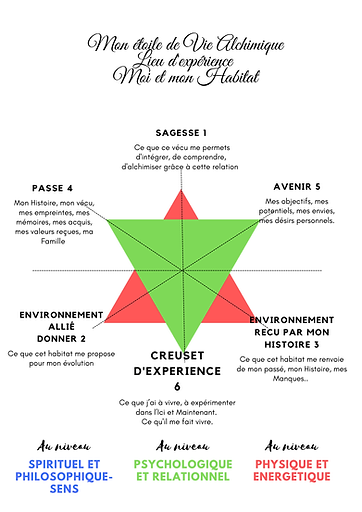 Saut de Salomon moi et mon Environnement (1).png
