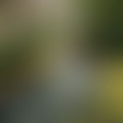 Chemin de vie en numérologie : comment le calculer, comprendre sa signification (1–9, 11/22/33), pourquoi tu peux ne pas te reconnaître, et quelles données (défis, cycles, nom/prénoms) changent tout.