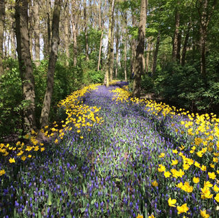 Chemin de vie en numérologie : comment le calculer, comprendre sa signification (1–9, 11/22/33), pourquoi tu peux ne pas te reconnaître, et quelles données (défis, cycles, nom/prénoms) changent tout.