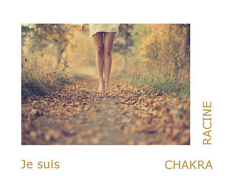 soin énergétique à distance. Soin d'ancrage. Chakra racine bloqué. Soin énergétique.