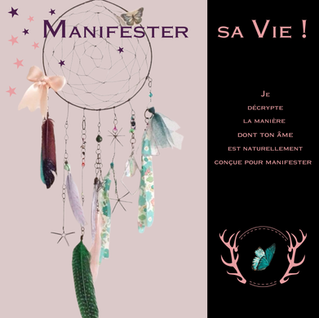 je t'explique pourquoi les méthodes standardisées pour manifester sa vie ne suffisent pas toujours pour matérialiser tes rêves et comment je te propose de trouver ta voie de manifestation personnelle.