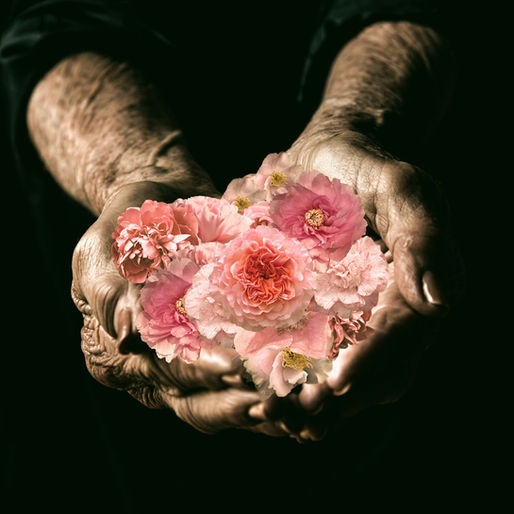 Par où commencer quand on veut explorer ses racines familiales… sans se perdre ? Je te propose ici une approche plus intuitive que purement généalogique, pour entrer en lien avec ton histoire familiale à partir des ambiances, des transmissions et de l’écriture introspective et intuitive.